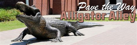 Alligator alley oklahoma city ok. Things To Know About Alligator alley oklahoma city ok. 